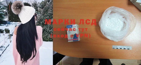 шишки Долгопрудный