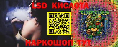 ПСИЛОЦИБИНОВЫЕ ГРИБЫ Будённовск