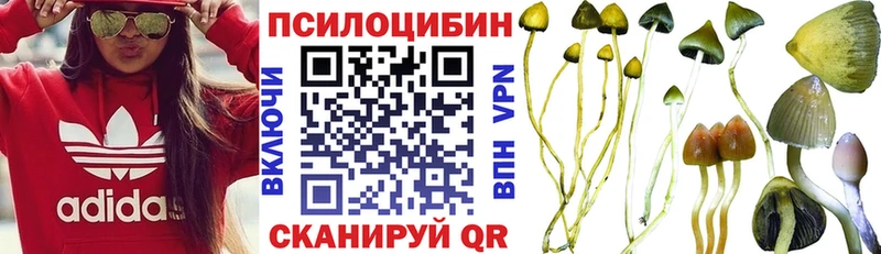 где можно купить наркотик  Ковров  Псилоцибиновые грибы MAGIC MUSHROOMS 