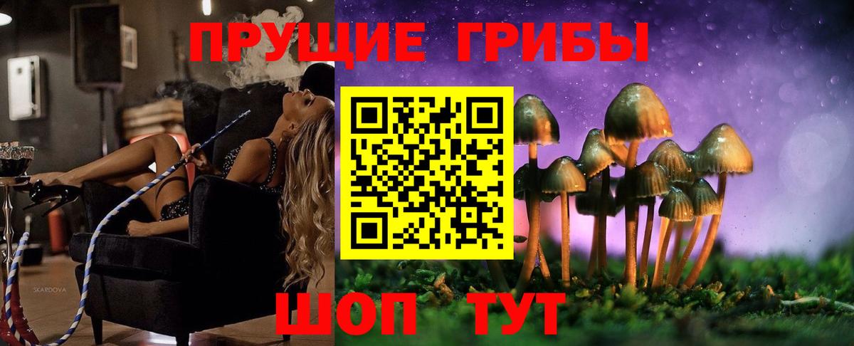 Псилоцибиновые грибы мухоморы  Вход с VPN  Ковров  цена   Псилоцибиновые грибы мицелий 
